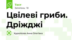 Цвілеві гриби. Дріжджі