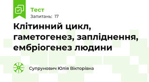Клітинний цикл, гаметогенез, запліднення, ембріогенез людини