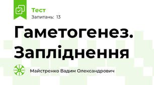 Гаметогенез. Запліднення