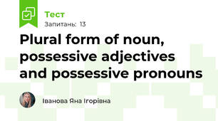 Plural form of noun, possessive adjectives and possessive pronouns