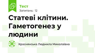 Статеві клітини. Гаметогенез у людини