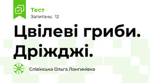 Цвілеві гриби. Дріжджі.