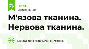 М'язова тканина. Нервова тканина. 