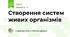 Створення систем живих організмів