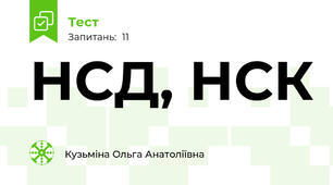 НСД, НСК