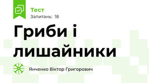 Гриби і лишайники
