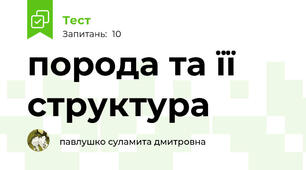 порода та її структура 