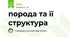 порода та її структура 