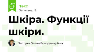 Шкіра. Функції шкіри.
