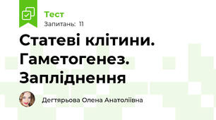 Статеві клітини. Гаметогенез. Запліднення