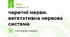 черепні нерви. вегетативна нервова система