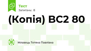 (Копія) BC2 80