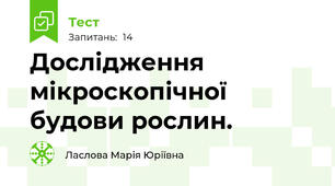 Дослідження мікроскопічної будови рослин.