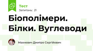 Біополімери. Білки. Вуглеводи