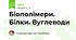 Біополімери. Білки. Вуглеводи