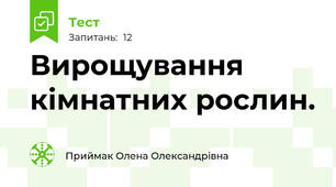Вирощування кімнатних рослин.
