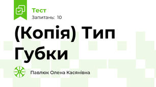 (Копія) Тип Губки
