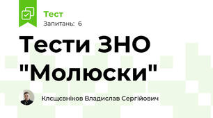 Тести ЗНО "Молюски"