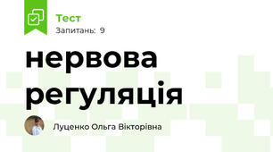 нервова регуляція