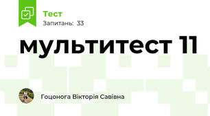 мультитест 11