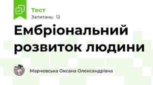 Ембріональний розвиток людини