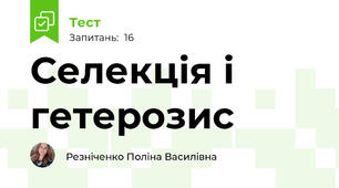 Селекція і гетерозис