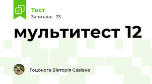 мультитест 12