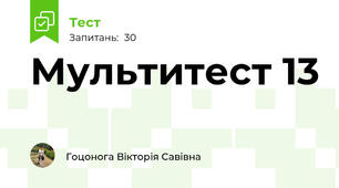 Мультитест 13