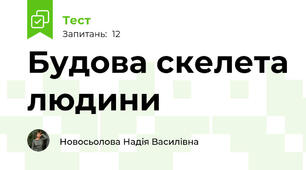 Будова скелета людини
