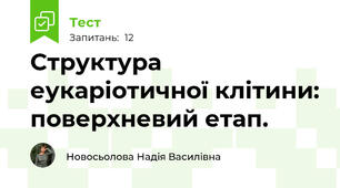 Структура еукаріотичної клітини: поверхневий етап.