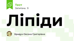 Ліпіди