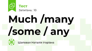  Much /many /some / any 
