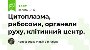 Цитоплазма, рибосоми, органели руху, клітинний центр.