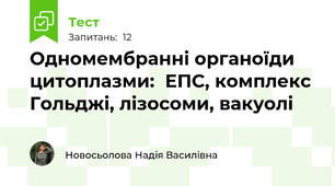 Одномембранні органоїди цитоплазми:  ЕПС, комплекс Гольджі, лізосоми, вакуолі