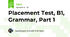Placement Test, B1, Grammar, Part 1