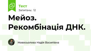 Мейоз. Рекомбінація ДНК. 
