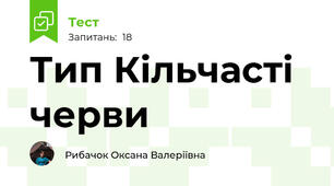 Тип Кільчасті черви 