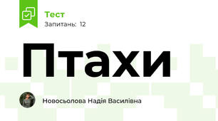 Птахи