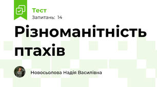 Різноманітність птахів