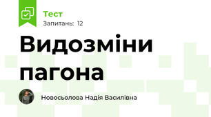 Видозміни пагона