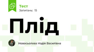 Плід
