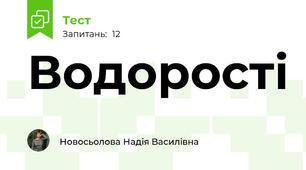 Водорості