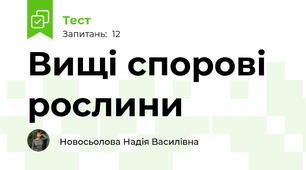 Вищі спорові рослини
