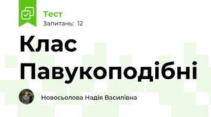 Клас Павукоподібні