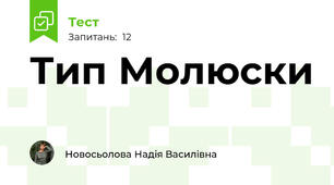 Тип Молюски