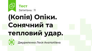 (Копія) Опіки. Сонячний та тепловий удар. 