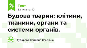 Будова тварин: клітини, тканини, органи та системи органів.  