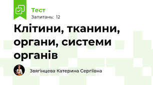 Клітини, тканини, органи, системи органів 