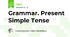 Grammar. Present Simple Tense
