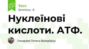 Нуклеїнові кислоти. АТФ.